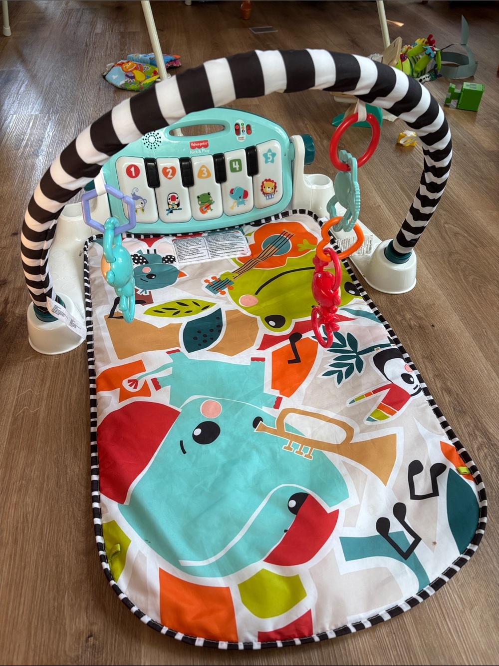 Fisher-Price Teal Piano Activity Gym with Multicolor Play Mat